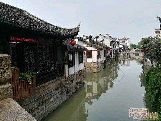 云雾高塔之重生
